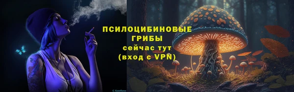 твердый Абинск