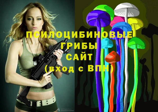 твердый Абинск