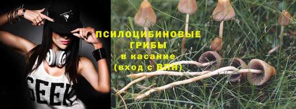 гашик Нязепетровск