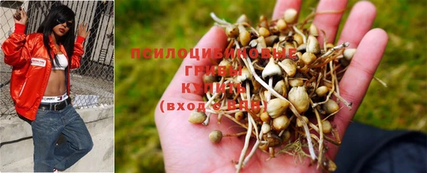 2c-b Абдулино