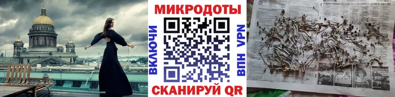 Галлюциногенные грибы Psilocybine cubensis  Поворино 